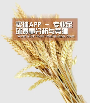 买球官网app - 体育比分与赛事资讯中心